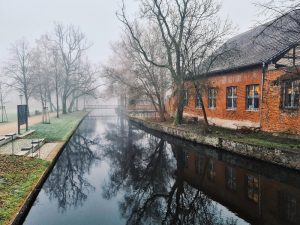 stepenitz im nebel