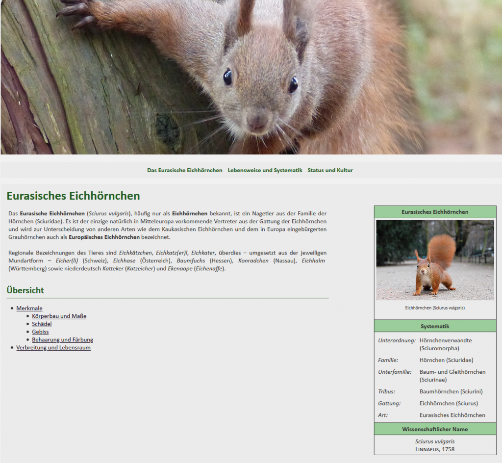HTML Webseite