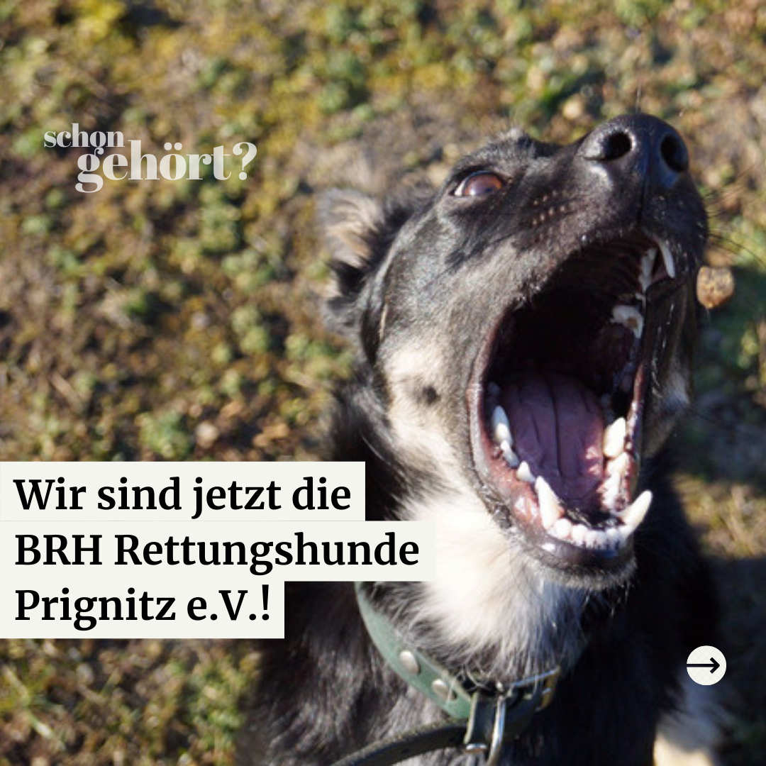 Infopost Rettungshundestaffel