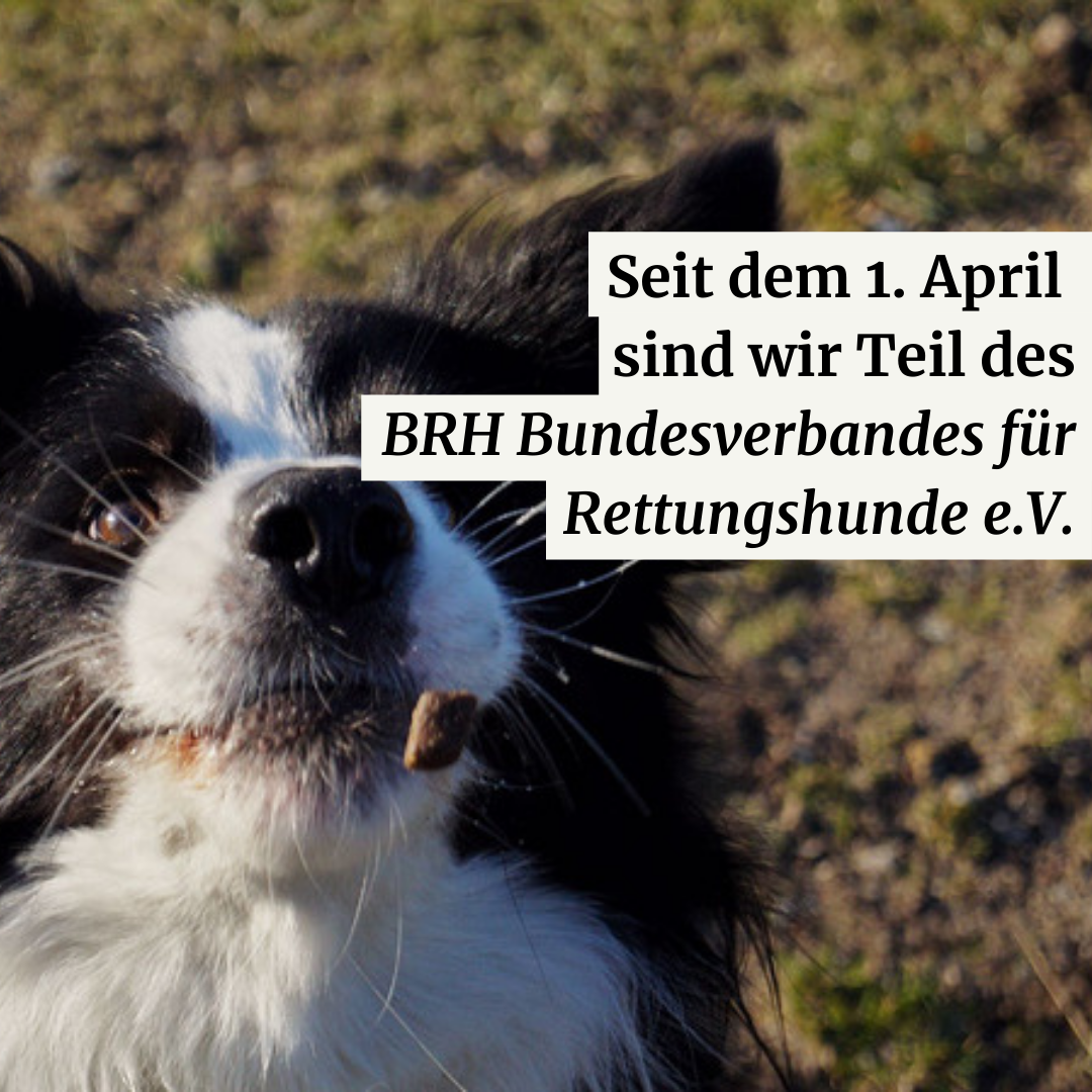 Infopost Rettungshundestaffel