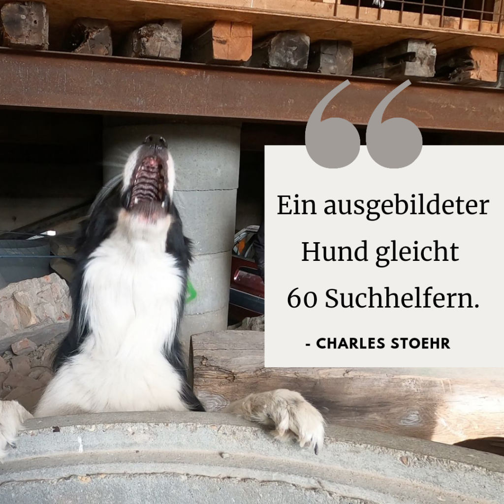 Infopost Rettungshunde