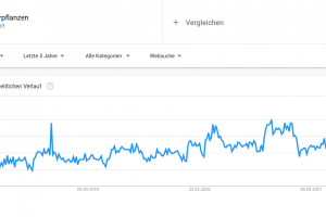 Google Trends Suche