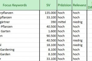 Focus Keyword Cluster